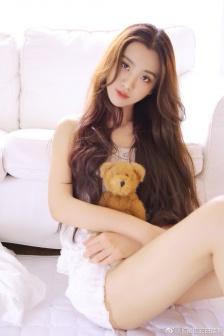 完美的妻子